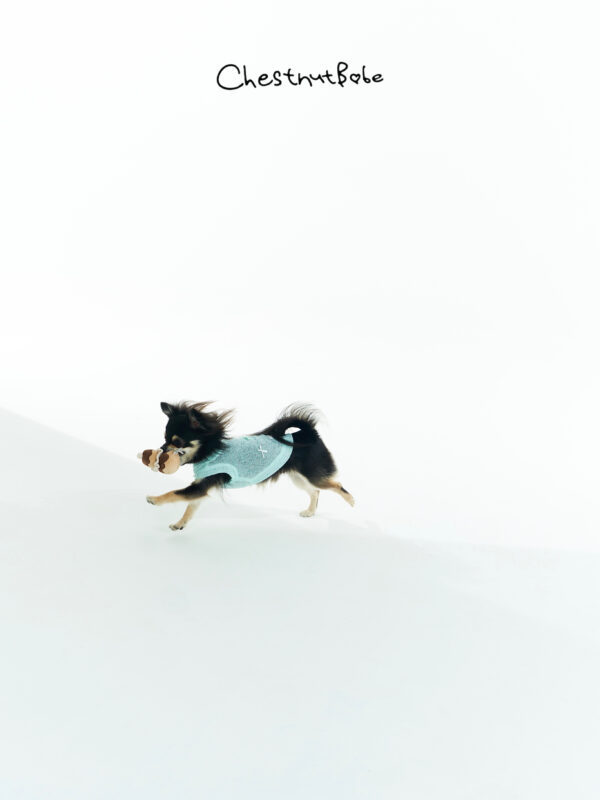Drop 8 【03】