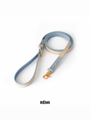 001 Hawaii Blue Leash