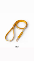 001 Cheeze Yellow Leash