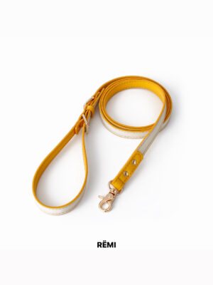 001 Cheeze Yellow Leash