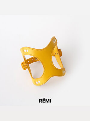 001 Cheeze Yellow Collar